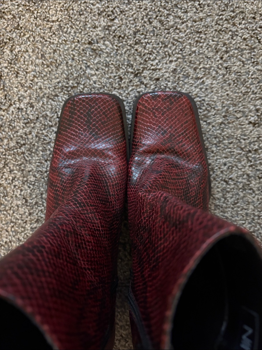 Nine West Red Leather, Snake-Print, Square Toe Ankle Boots—Y2K Rockstar - Picture 5 of 5